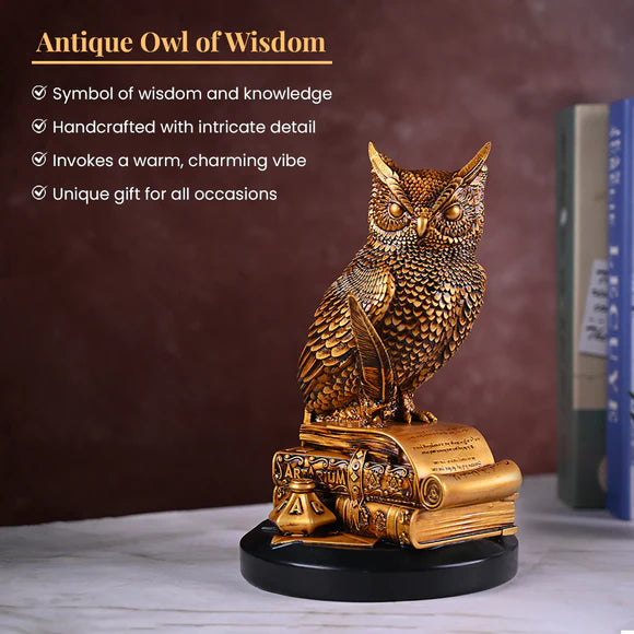 Owl of Wisdom